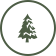 Realistic Christmas Tree Icon