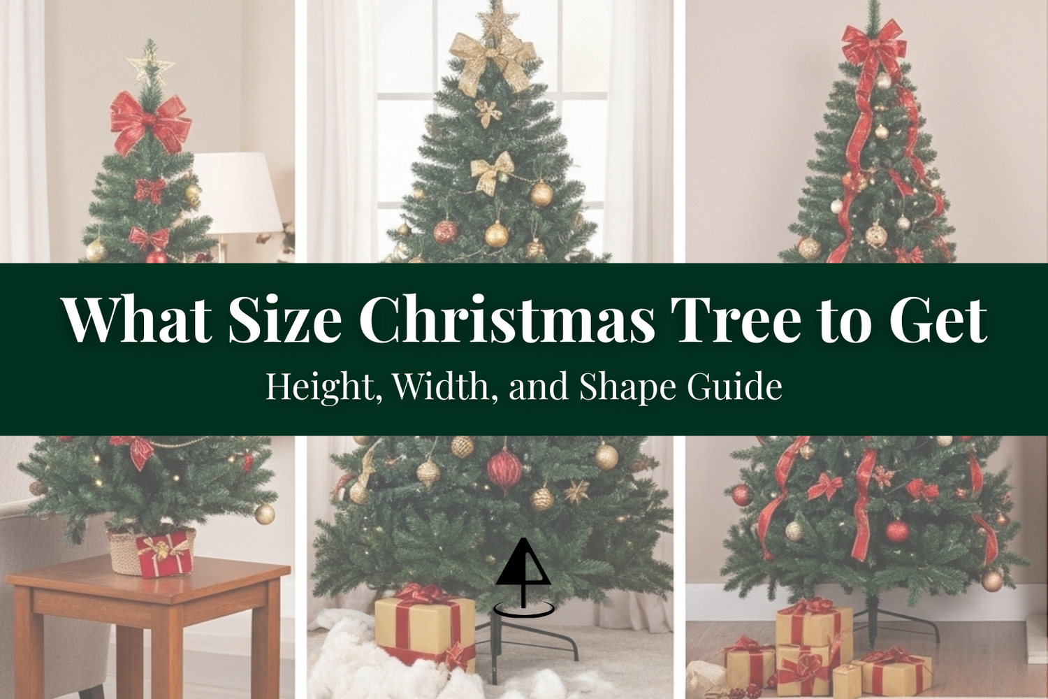 Which Size Tree, Including the Width and Height, Is a Good Fit For You?